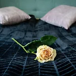 Timeless Elegance *